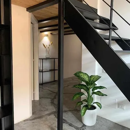 My Exclusive Cavour Loft Da Sogno A Appartement